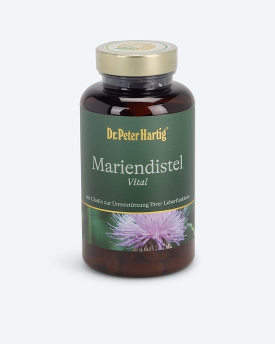 Produktabbildung für Mariendistel Vital, 120 Kps.