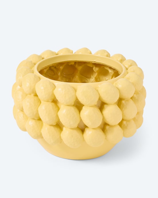 Produktabbildung für Zitronen-Blumentopf