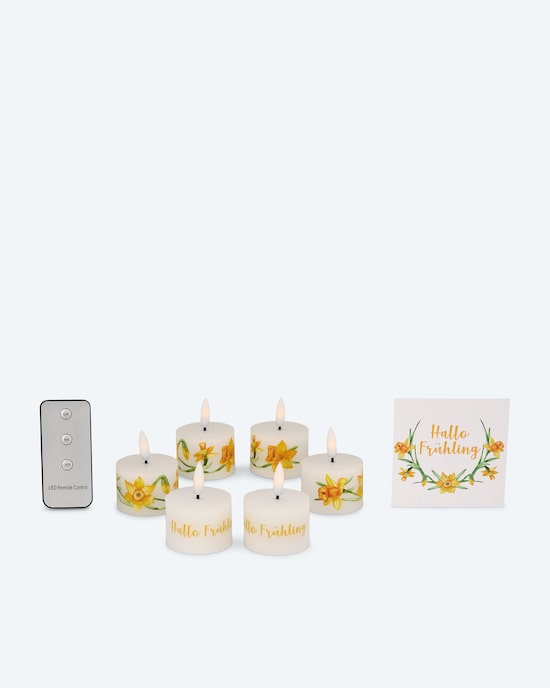 Produktabbildung für 6 LED-Teelichter "Frühling" mit Geschenkbox