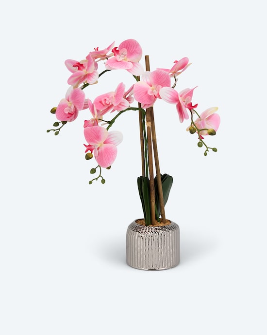 Produktabbildung für LED-Orchidee