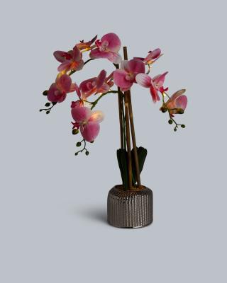 Produktabbildung 2 für LED-Orchidee