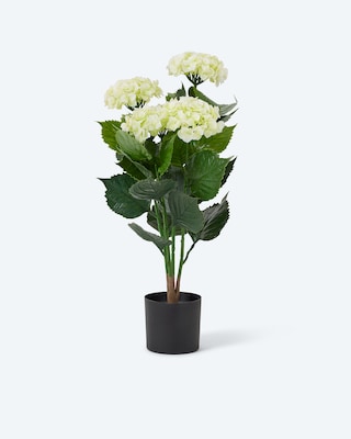 Produktabbildung 6 für Outdoor-Kunsthortensie