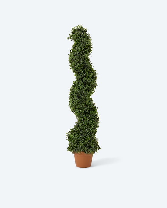 Produktabbildung für Outdoor Buchsbaum gedreht, 100 cm
