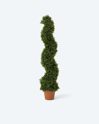 Produktabbildung 1 für Outdoor Buchsbaum gedreht, 100 cm