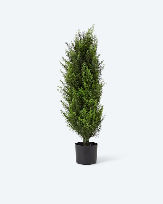 Produktabbildung für Outdoor Zypresse gedreht, 90 cm