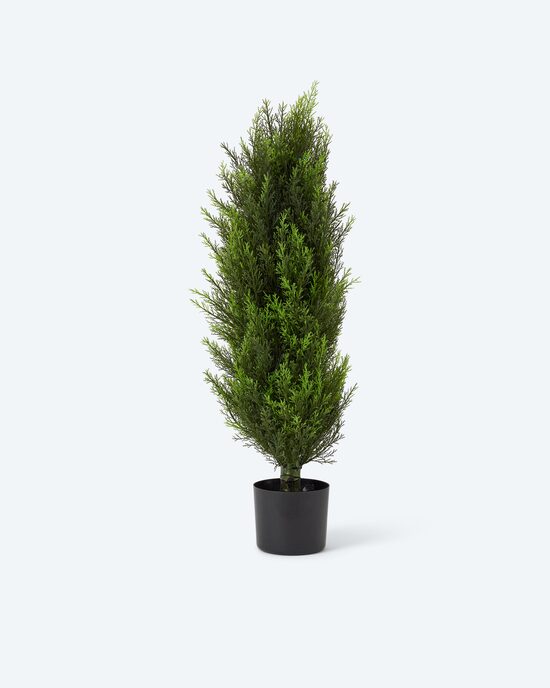 Produktabbildung für Outdoor Zypresse gedreht, 90 cm