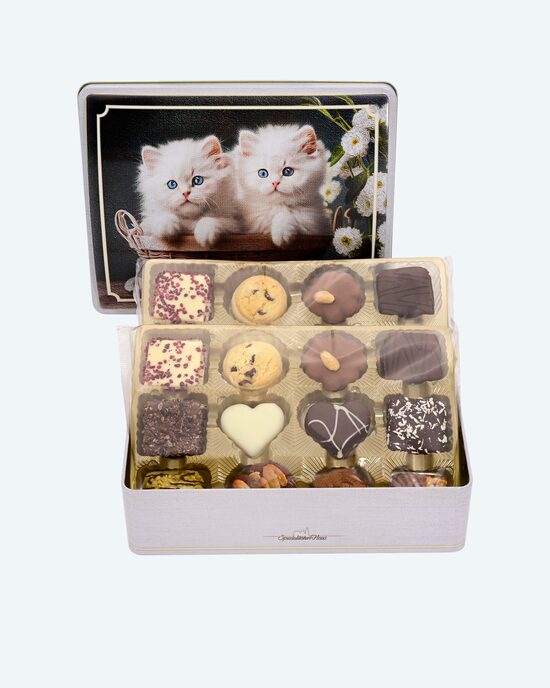 Produktabbildung für Katzendose, 490 g