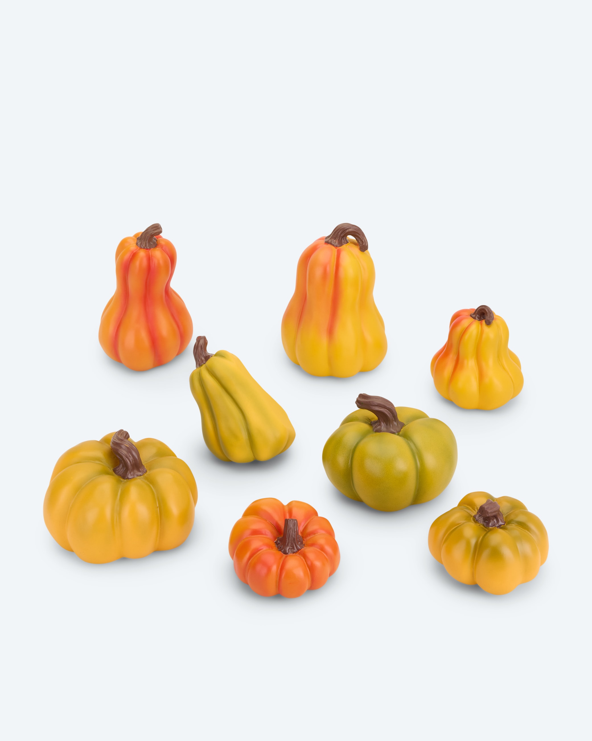 Produktabbildung für Deko-Kürbisset, 8tlg.