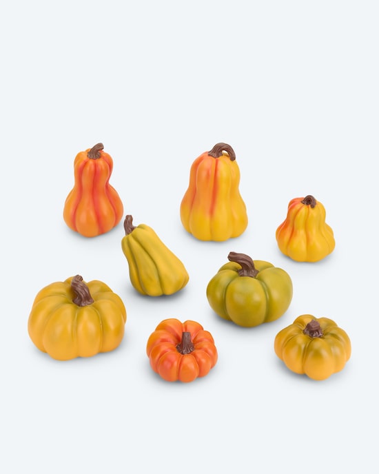 Produktabbildung für Deko-Kürbisset, 8tlg.