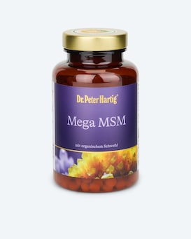 Produktabbildung für Mega MSM, 675 Presslinge
