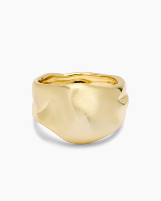 Produktabbildung für Ring mit gebürstetem Finish