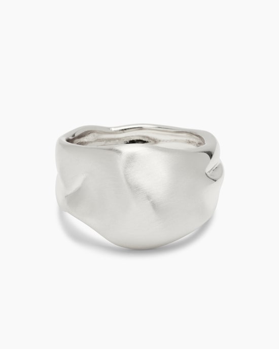 Produktabbildung für Ring mit gebürstetem Finish