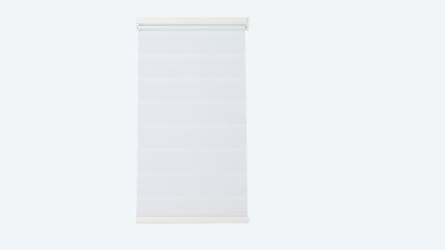 Day & Night Fenster-Rollo motorisiert