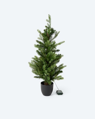 Produktabbildung 1 für LED-Weihnachtsbaum im Topf