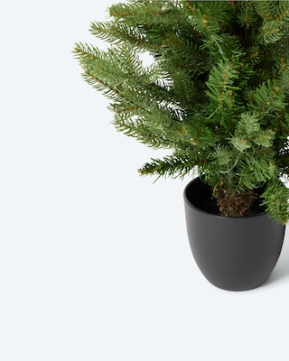 Produktabbildung 4 für LED-Weihnachtsbaum im Topf