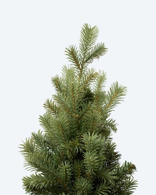 Produktabbildung 4 für Künstlicher Weihnachtsbaum, ca. 180 cm