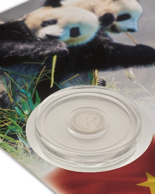 Produktabbildung 3 für Numisbrief 20 Jahre Platin-Panda