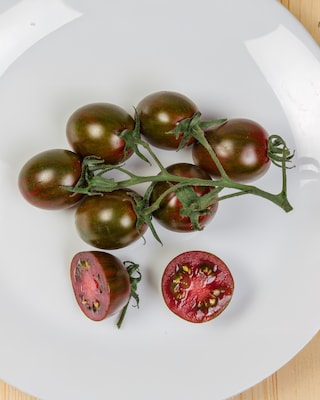 Produktabbildung 1 für Tomaten Solena Choco, 2tlg.