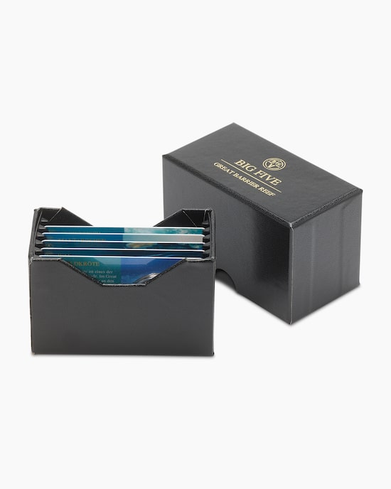 Produktabbildung für Goldnarren Great Barrier Reef, 5tlg.