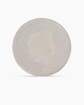 Produktabbildung 2 für Mysterious Rhodium Caribbean Life Leguan