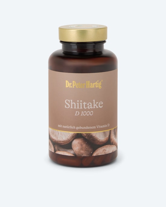 Produktabbildung für Shiitake D 1000, 120 + 10 Kps.