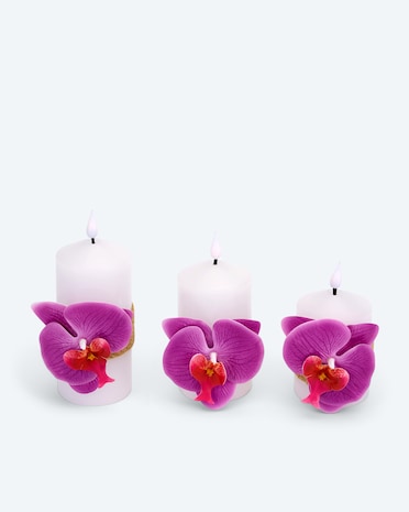 Produktabbildung für LED-Stumpenkerzen "Orchidee", 3tlg.