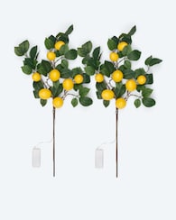 Produktabbildung für 2 LED-Leuchtzweige "Zitronen"