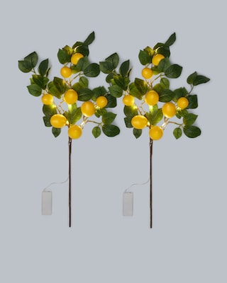 Produktabbildung 2 für 2 LED-Leuchtzweige "Zitronen"