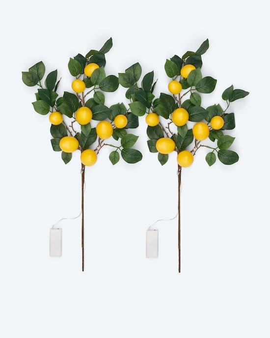 Produktabbildung für 2 LED-Leuchtzweige "Zitronen"