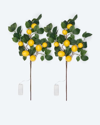 Produktabbildung 1 für 2 LED-Leuchtzweige "Zitronen"
