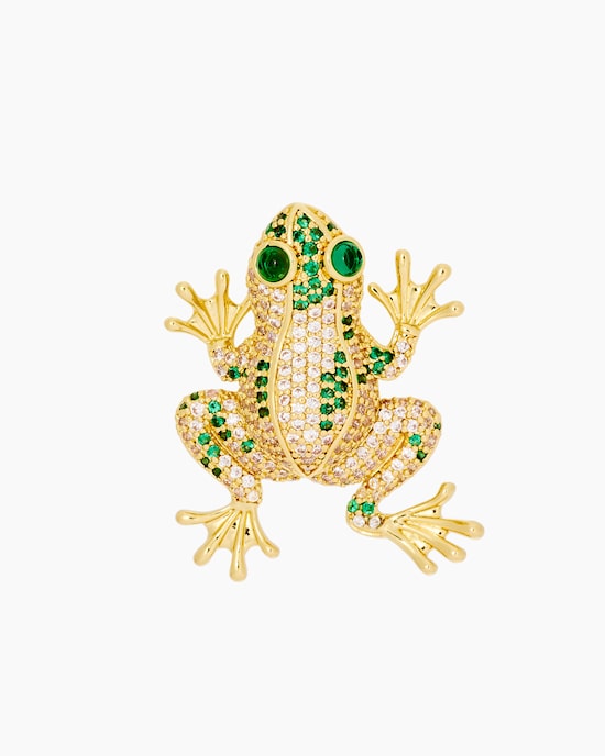 Produktabbildung für Brosche "Frosch"