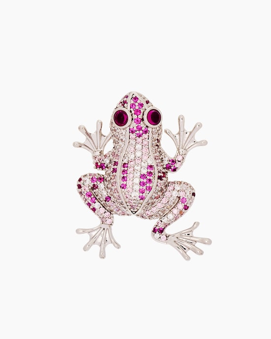 Produktabbildung für Brosche "Frosch"