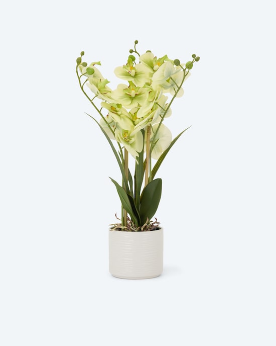 Produktabbildung für Kunst-Orchidee im Keramiktopf