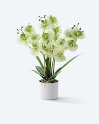 Produktabbildung für Kunst-Orchidee im Keramiktopf