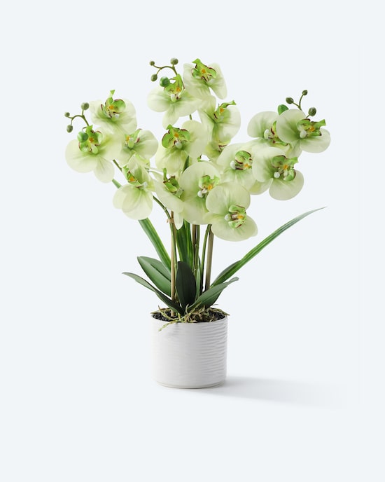 Produktabbildung für Kunst-Orchidee im Keramiktopf