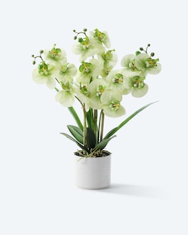 Produktabbildung für Kunst-Orchidee im Keramiktopf