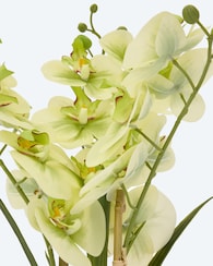 Produktabbildung für Kunst-Orchidee im Keramiktopf