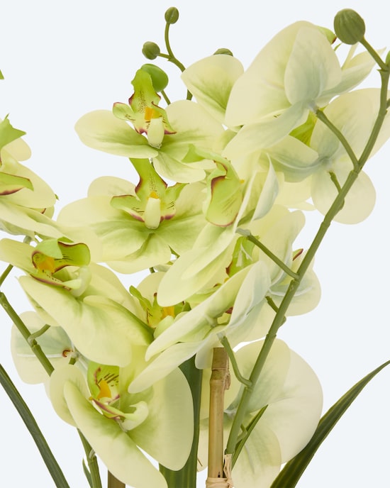 Produktabbildung für Kunst-Orchidee im Keramiktopf