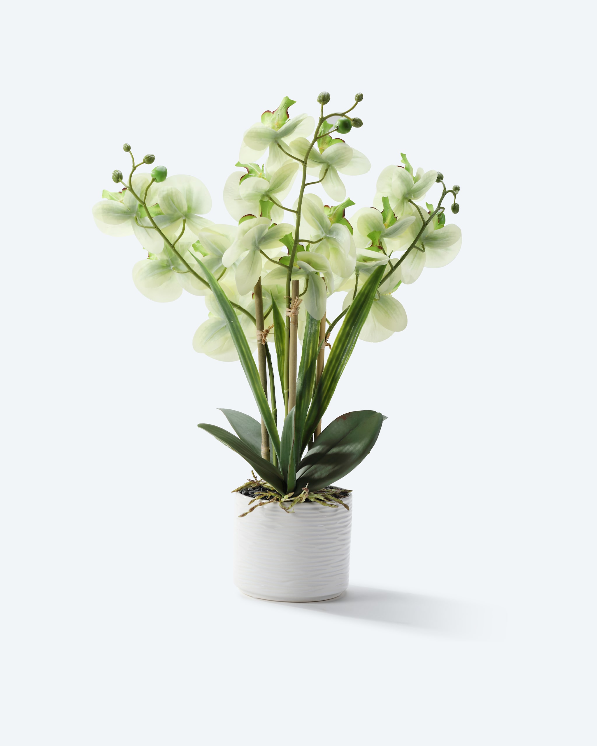 Produktabbildung für Kunst-Orchidee im Keramiktopf