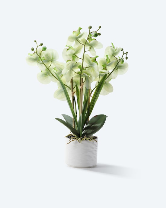 Produktabbildung für Kunst-Orchidee im Keramiktopf