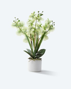 Produktabbildung für Kunst-Orchidee im Keramiktopf