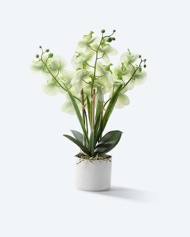 Produktabbildung für Kunst-Orchidee im Keramiktopf