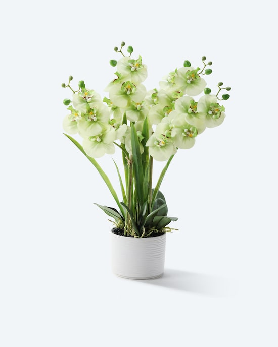 Produktabbildung für Kunst-Orchidee im Keramiktopf