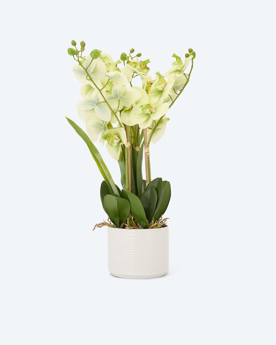 Produktabbildung für Kunst-Orchidee im Keramiktopf