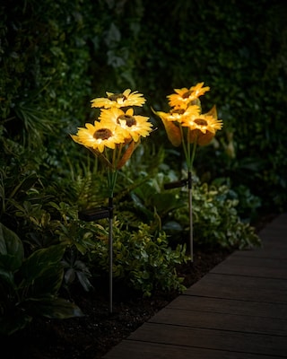 Produktabbildung 1 für Solar-Sonnenblumen, 2er-Set