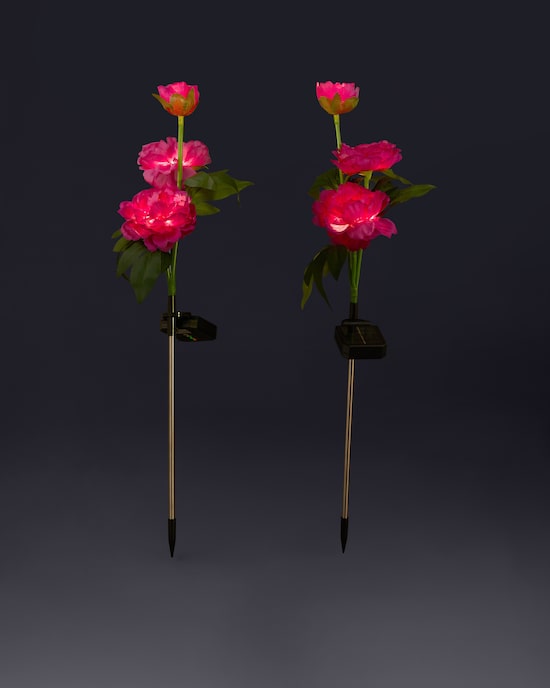 Produktabbildung für Solar-Pfingstrosen, 2er-Set