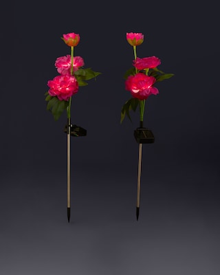 Produktabbildung 1 für Solar-Pfingstrosen, 2er-Set