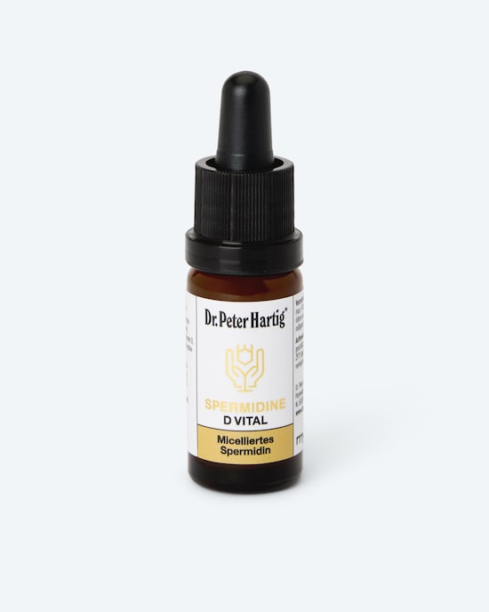 Produktabbildung für Spermidine D-Vital, 10 ml