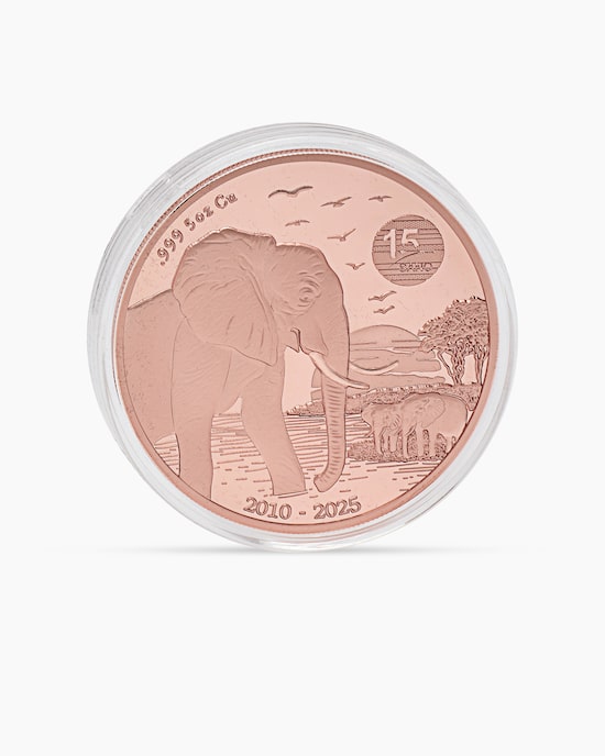 Produktabbildung für Giant Copper Elefant 2025