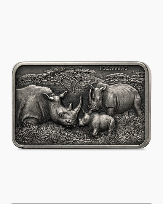 Produktabbildung für Silbermünze Rhinofamilie
